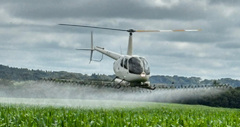 Serviço Lorem Ipsum 2